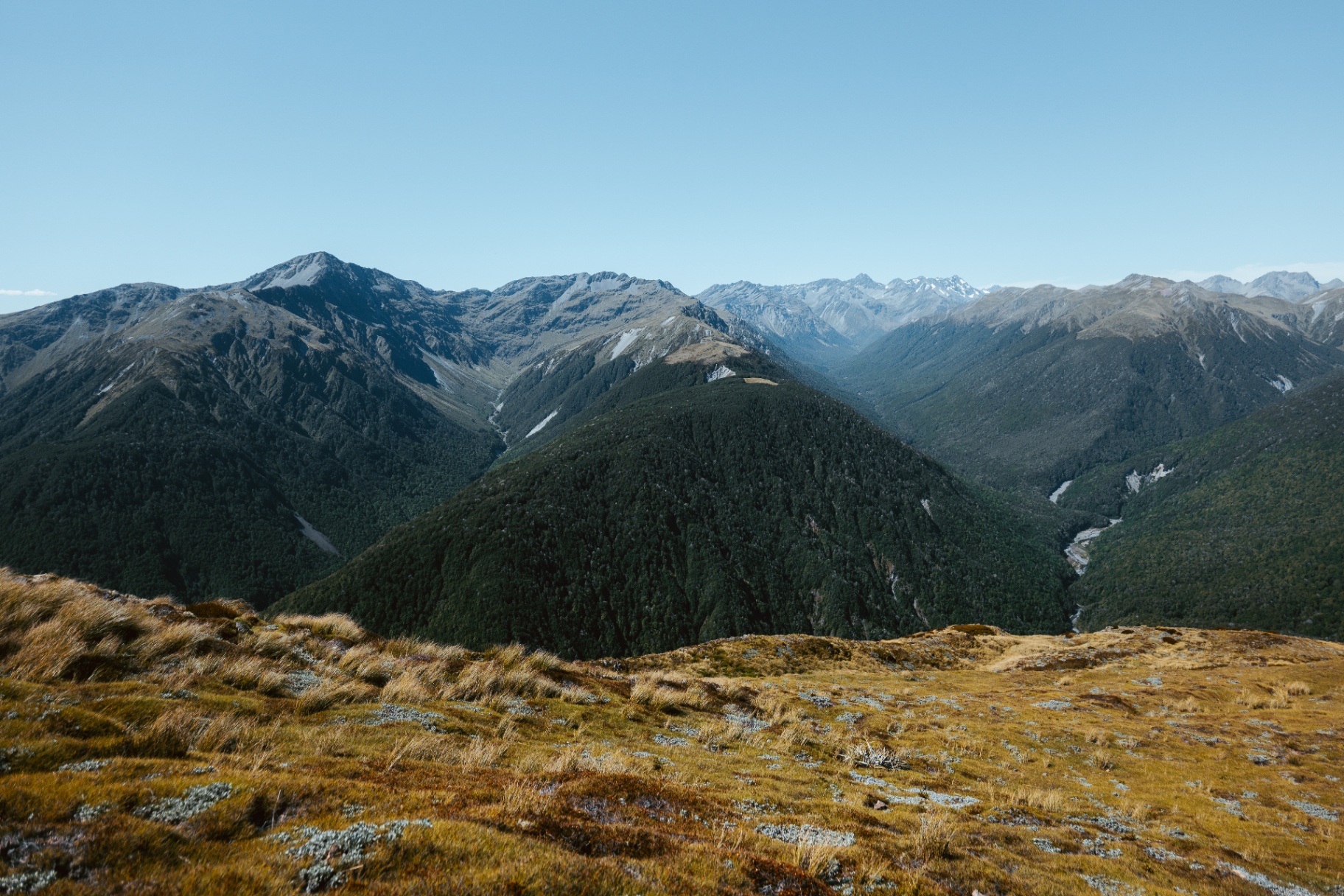 New Zealand landscape 5