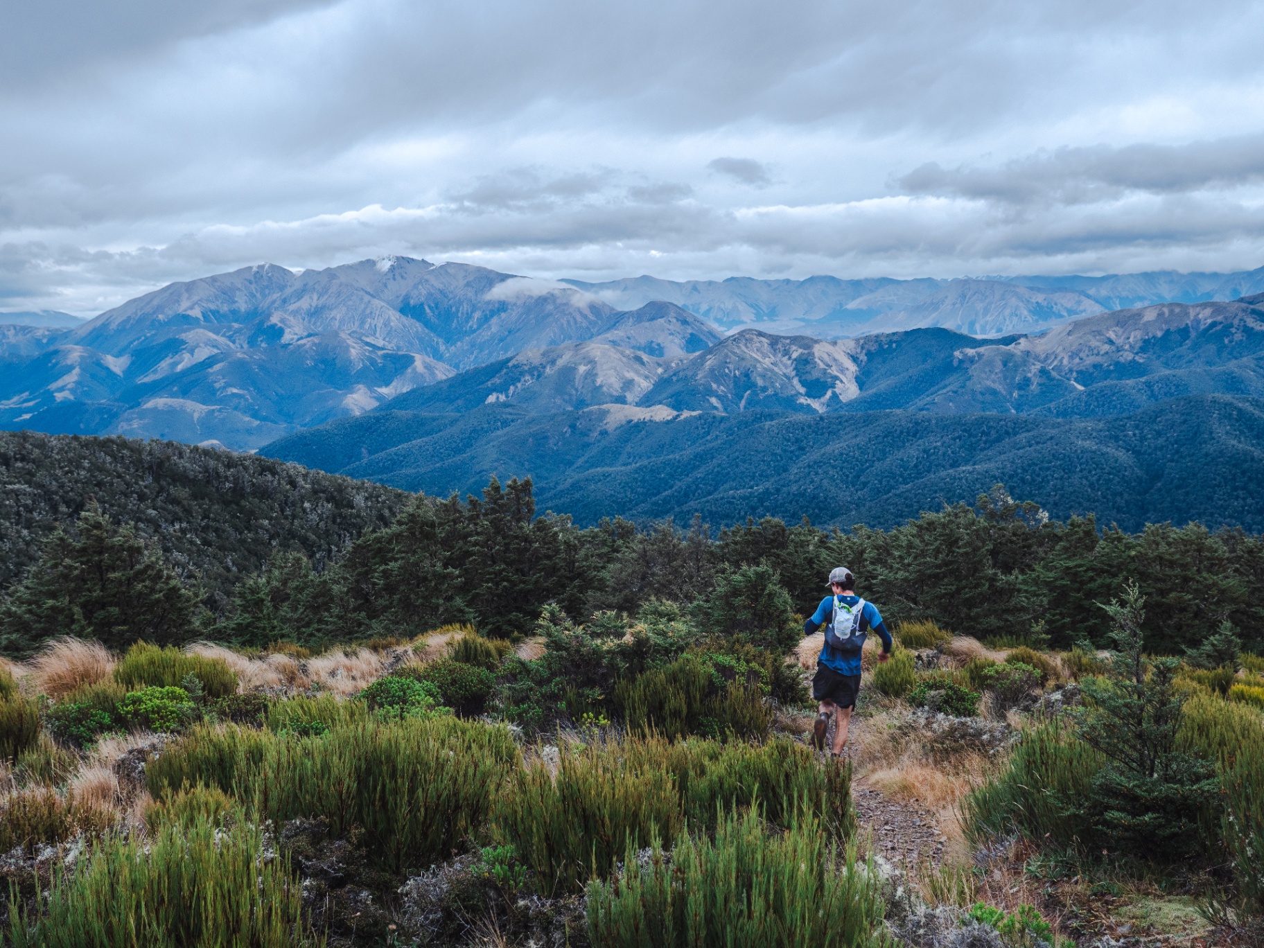 New Zealand landscape 4